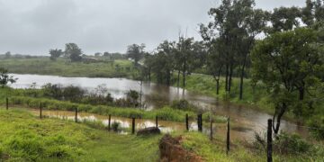 Volume de chuvas esse ano no município de Presidente Olegário já supera o registrado em todo o ano passado