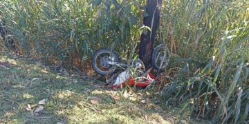 Homem de 32 anos morre após bater moto em árvore na BR-040, em Lagoa Grande