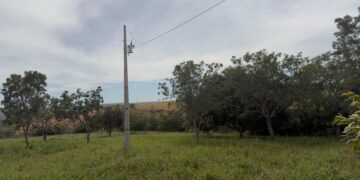 Falta de energia elétrica causa prejuízos a produtores rurais na região de Andrequice