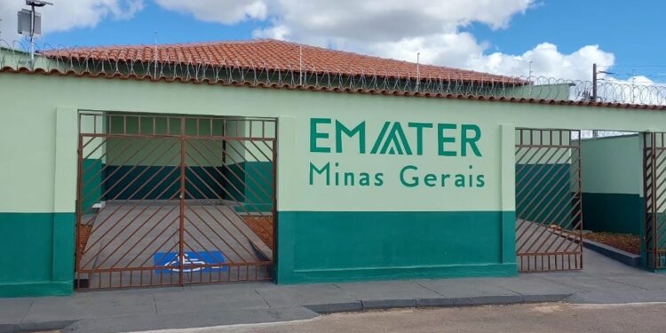 Concurso da Emater-MG oferece salários de até R$ 7,3 mil e abre 120 vagas em Minas Gerais
