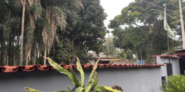 Após dias de calor intenso, chuva leve chega a Presidente Olegário e temperaturas caem